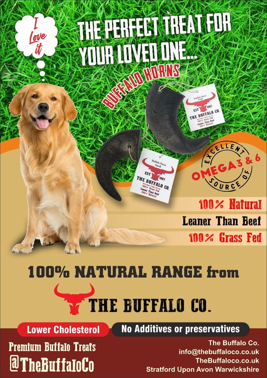 Buffalo Horn Dog Chew – Large (6-8 inch)
