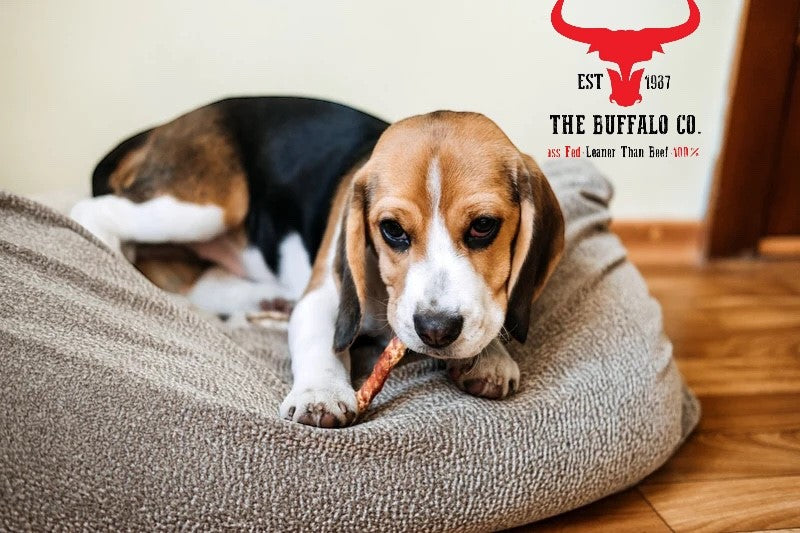 Buffalo Tail Dog Treats – 1kg