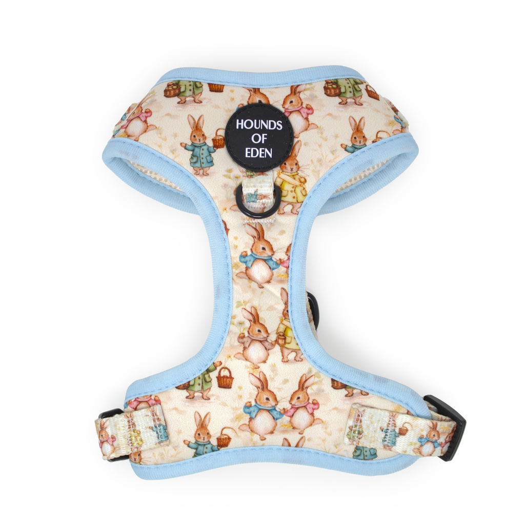 Bunny Tales - Blue, Dog Harness (XXS-XS)