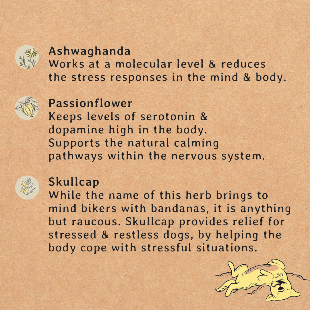 Calming Dog Treats