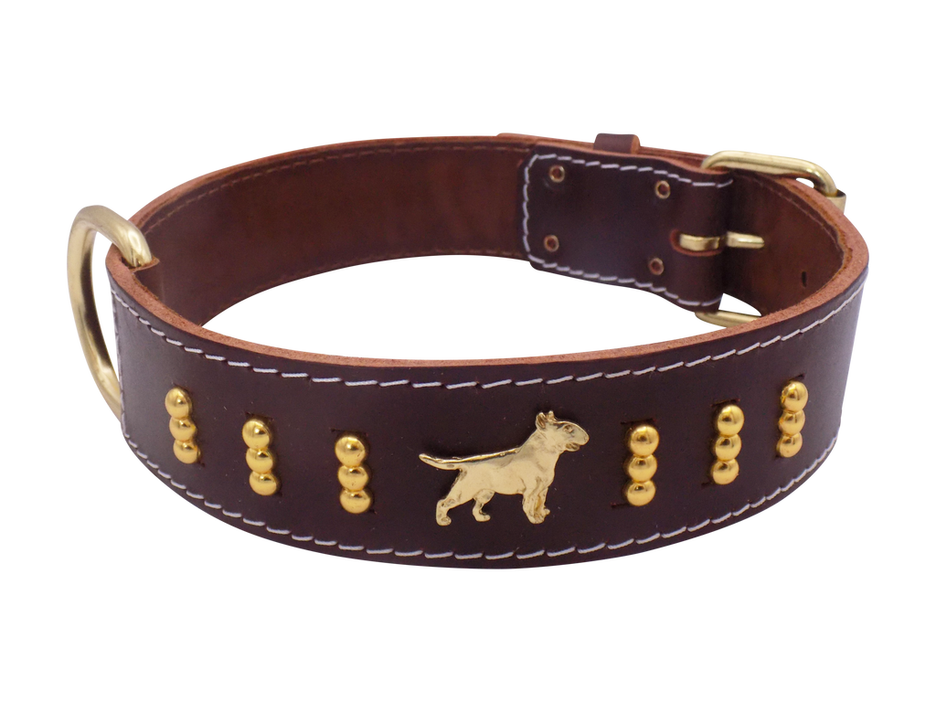 Leather Dog Collar with Gold-Coloured Design & Bull Terrier Badges