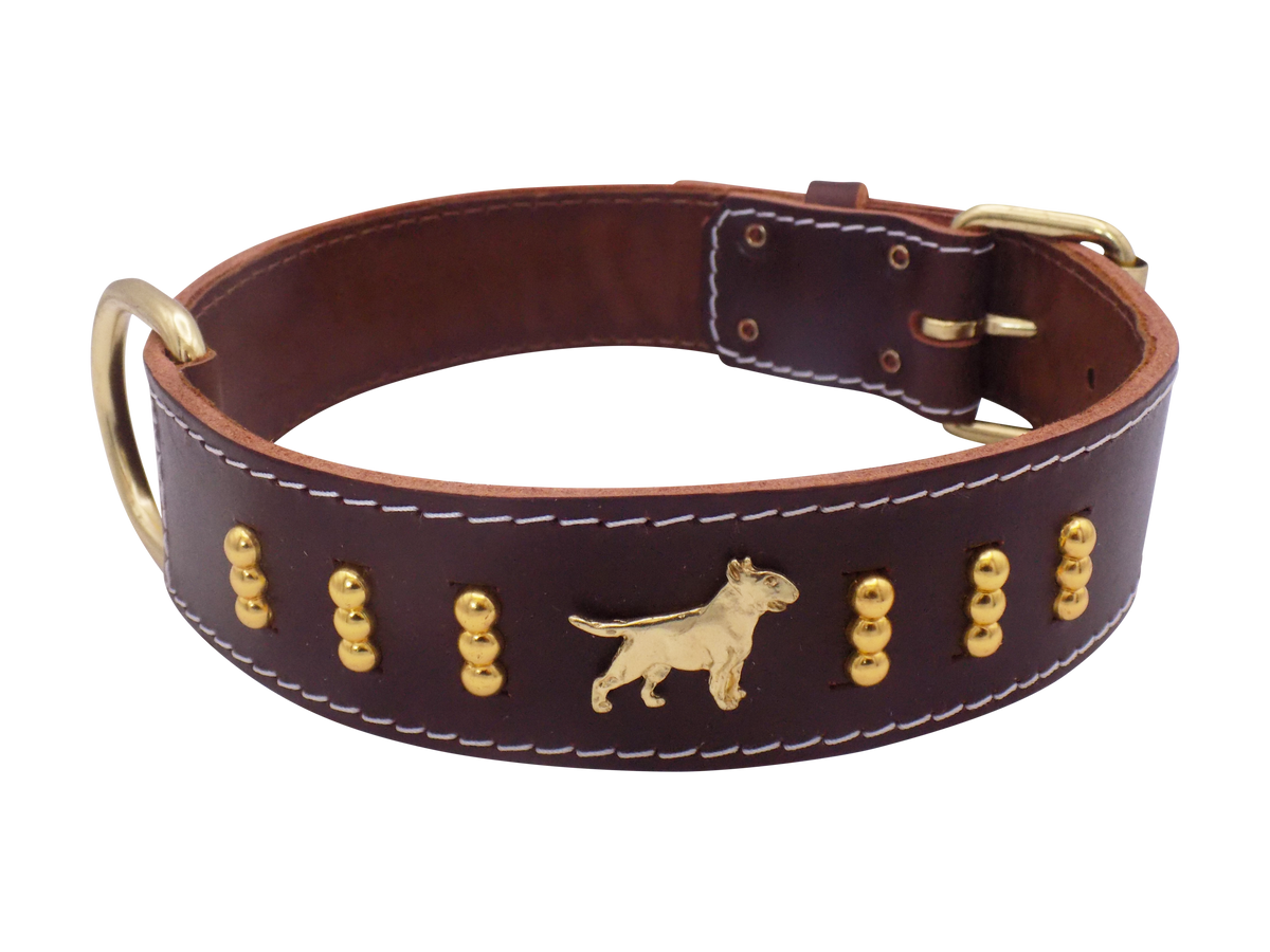 Leather Dog Collar with Gold-Coloured Design & Bull Terrier Badges