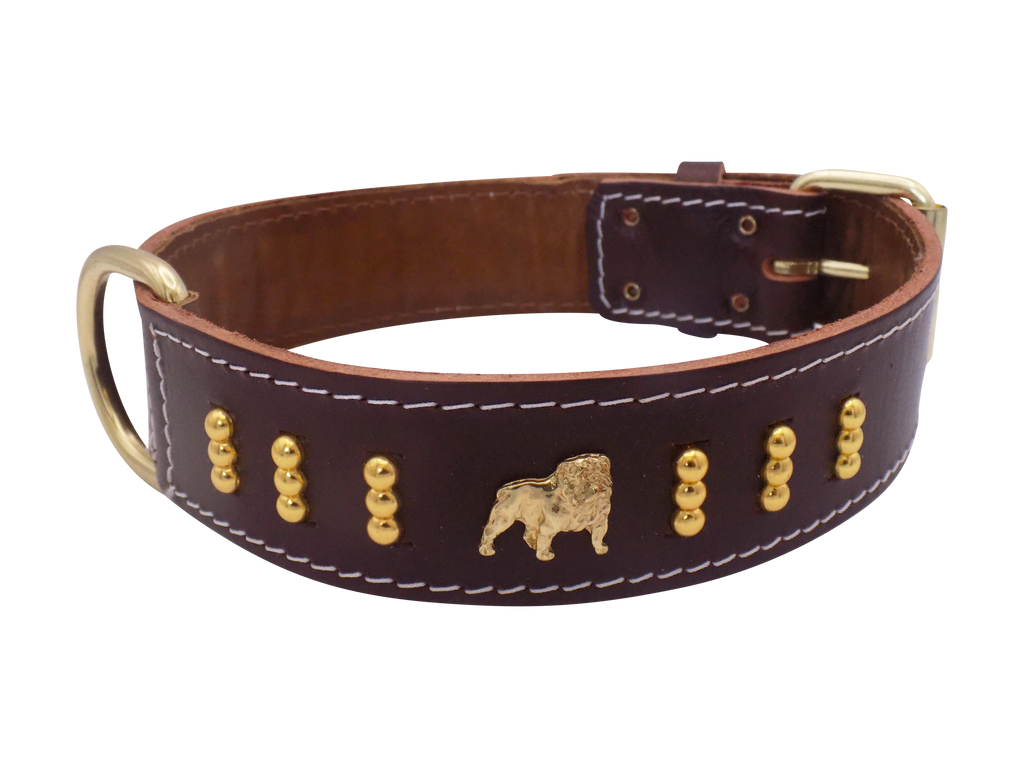 English Bulldog Badge Leather Dog Collar – Gold Design, Style 4
