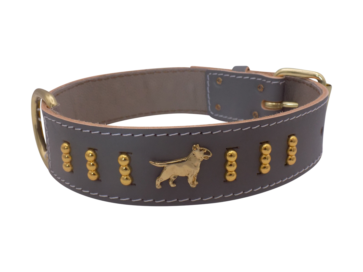 Leather Dog Collar with Gold-Coloured Design & Bull Terrier Badges