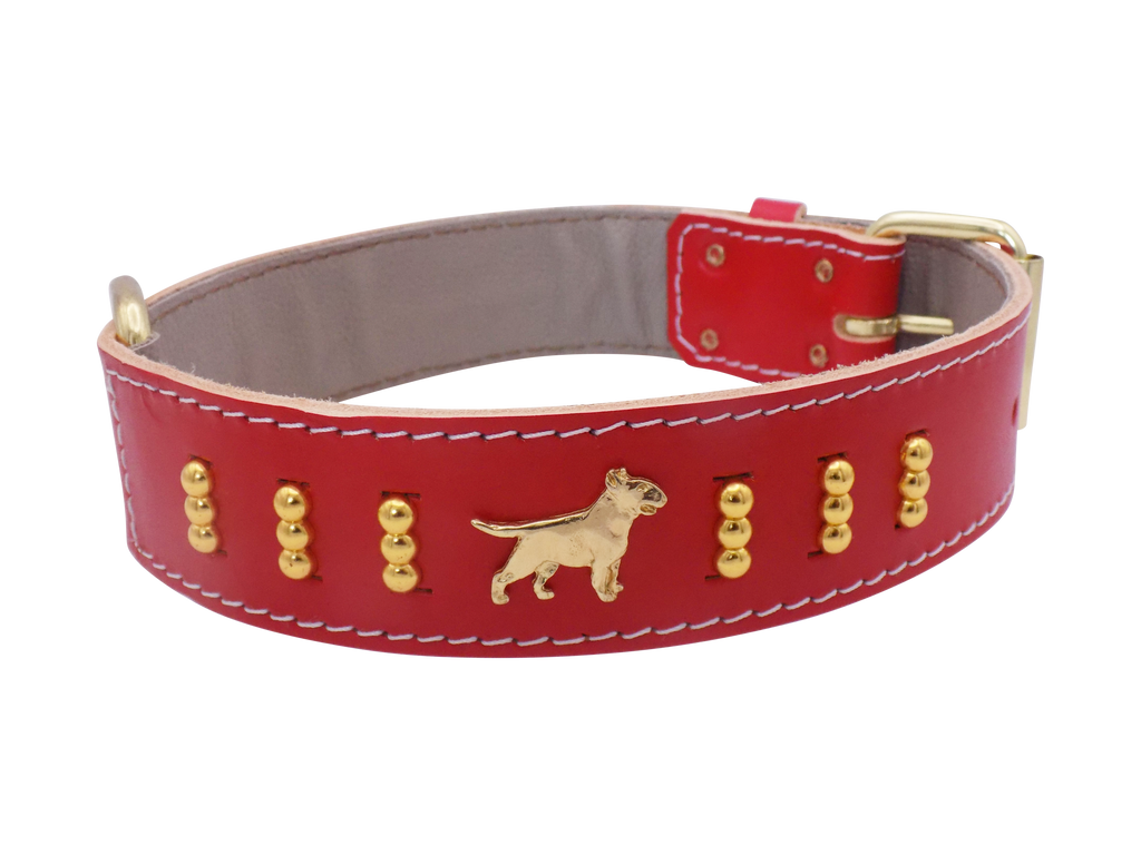 Leather Dog Collar with Gold-Coloured Design & Bull Terrier Badges