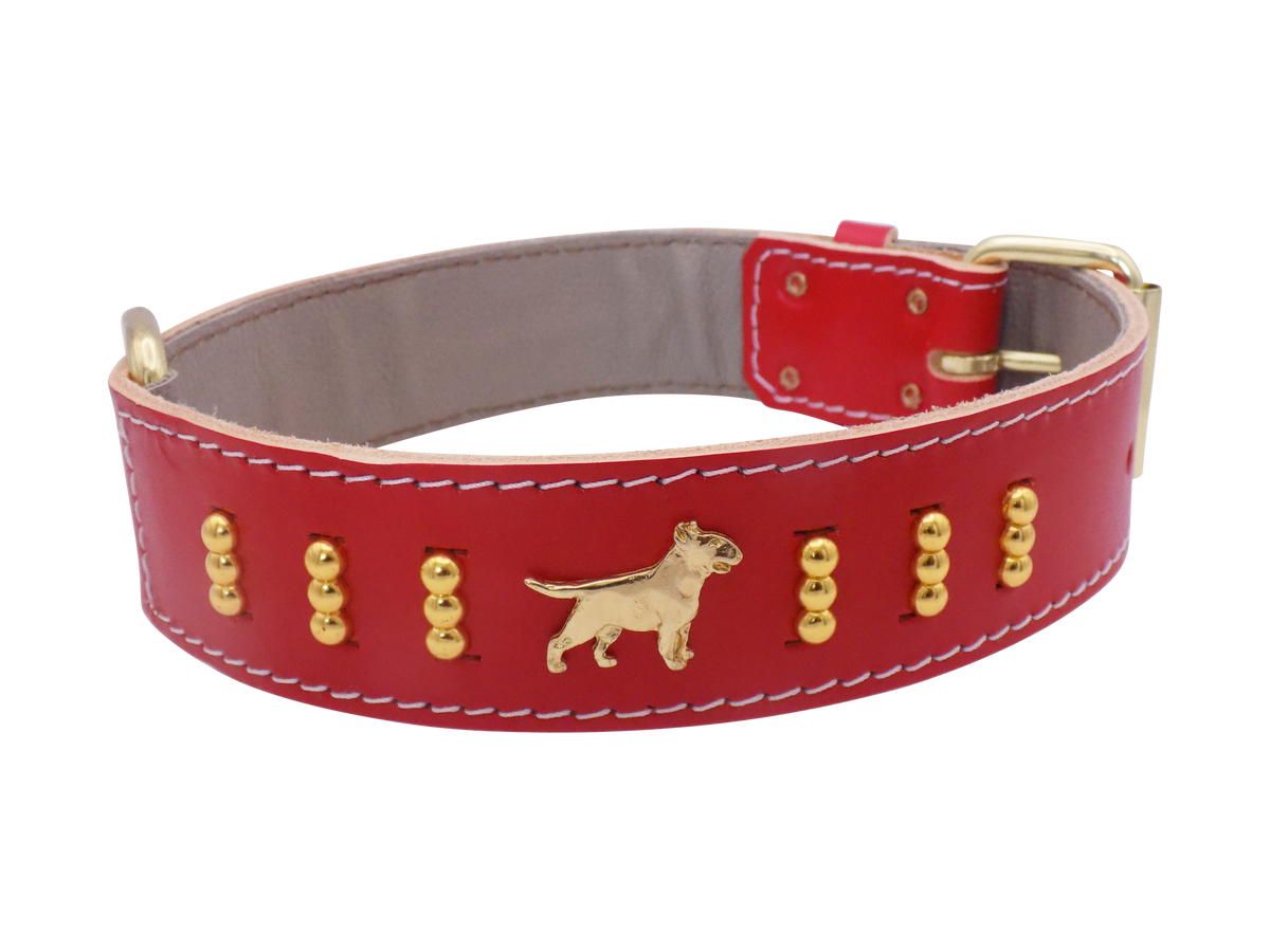 Leather Dog Collar with Gold-Coloured Design & Bull Terrier Badges