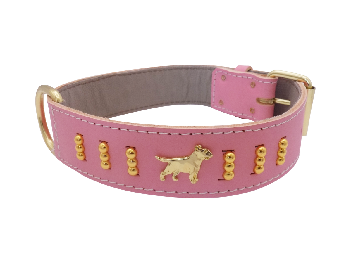 Leather Dog Collar with Gold-Coloured Design & Bull Terrier Badges