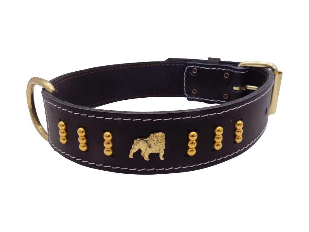 English Bulldog Badge Leather Dog Collar – Gold Design, Style 4