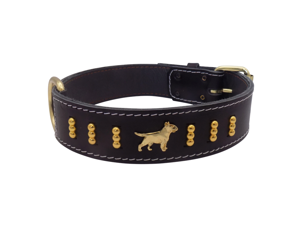 Leather Dog Collar with Gold-Coloured Design & Bull Terrier Badges