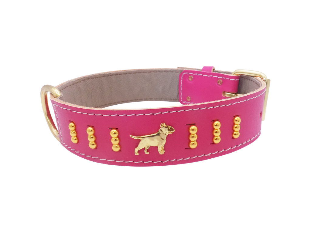 Leather Dog Collar with Gold-Coloured Design & Bull Terrier Badges