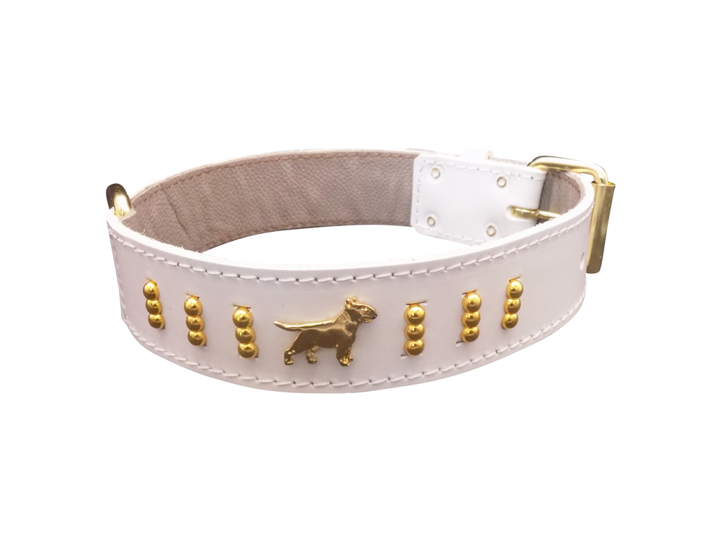 Leather Dog Collar with Gold-Coloured Design & Bull Terrier Badges