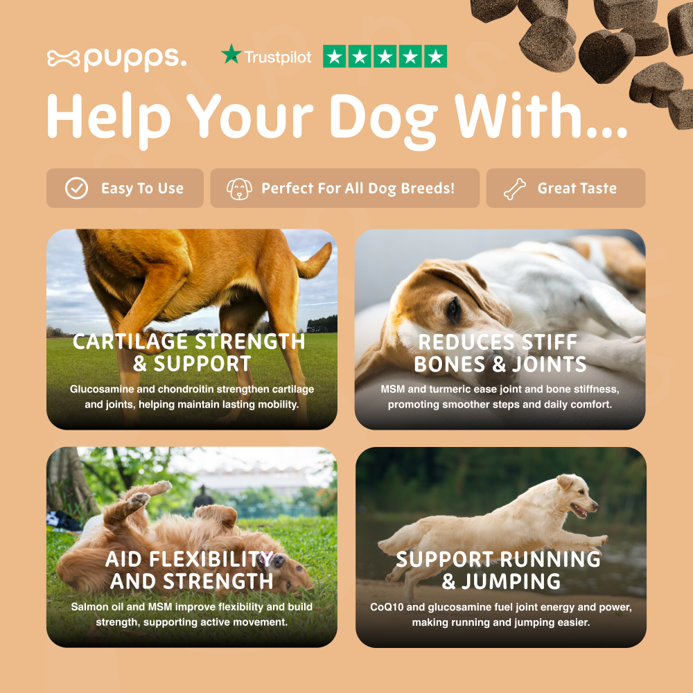 Pupps Hip & Joint Treats for Dogs