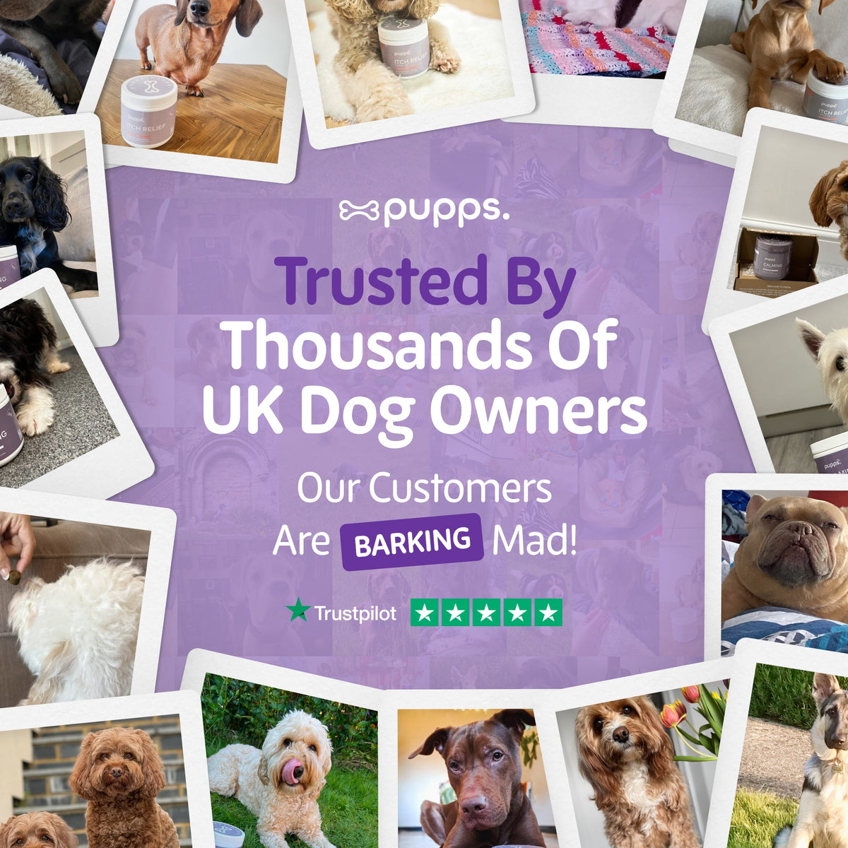 Pupps Calming Treats for Dogs