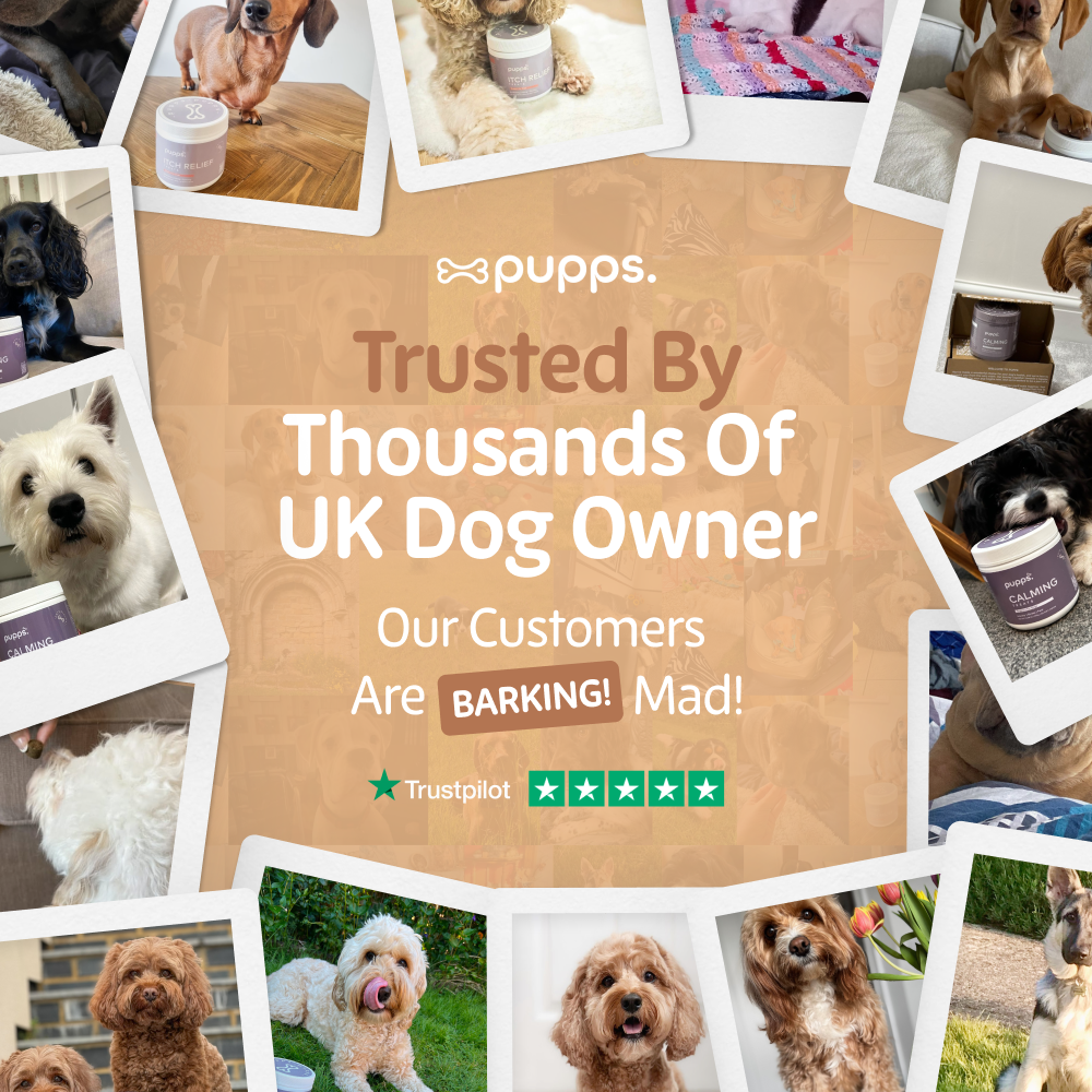 Pupps Hip & Joint Treats for Dogs