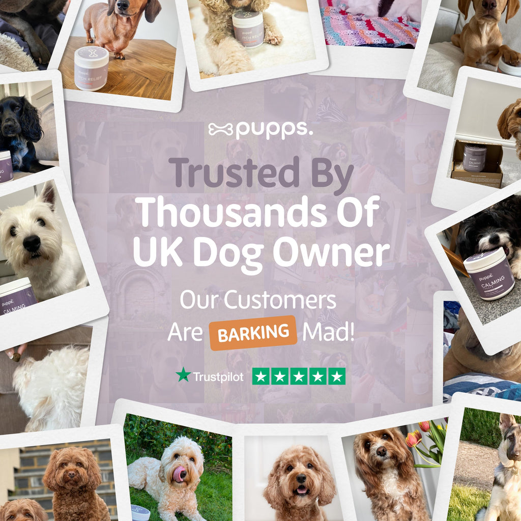 Pupps Itch Relief Treats for Dogs