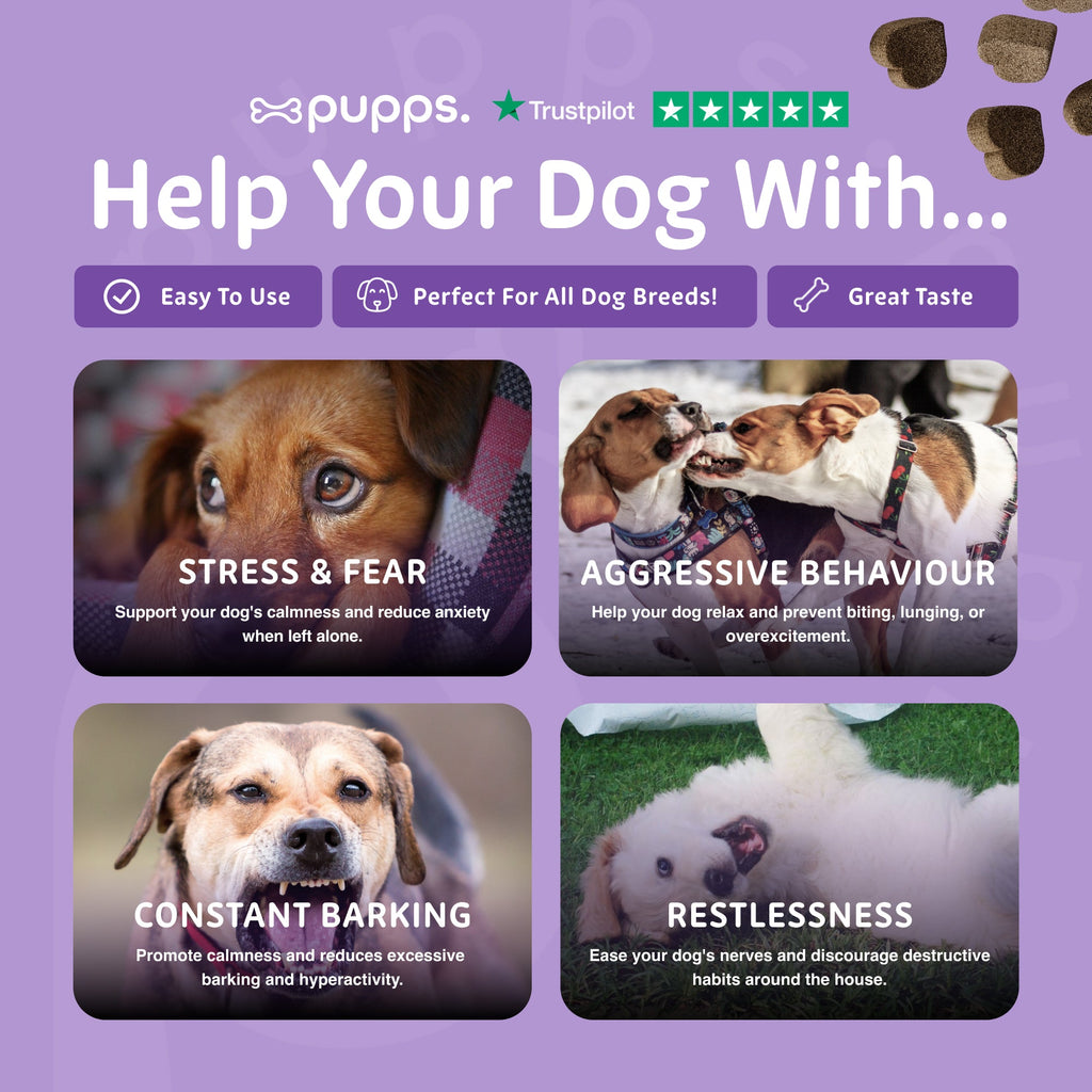 Pupps Calming Treats for Dogs