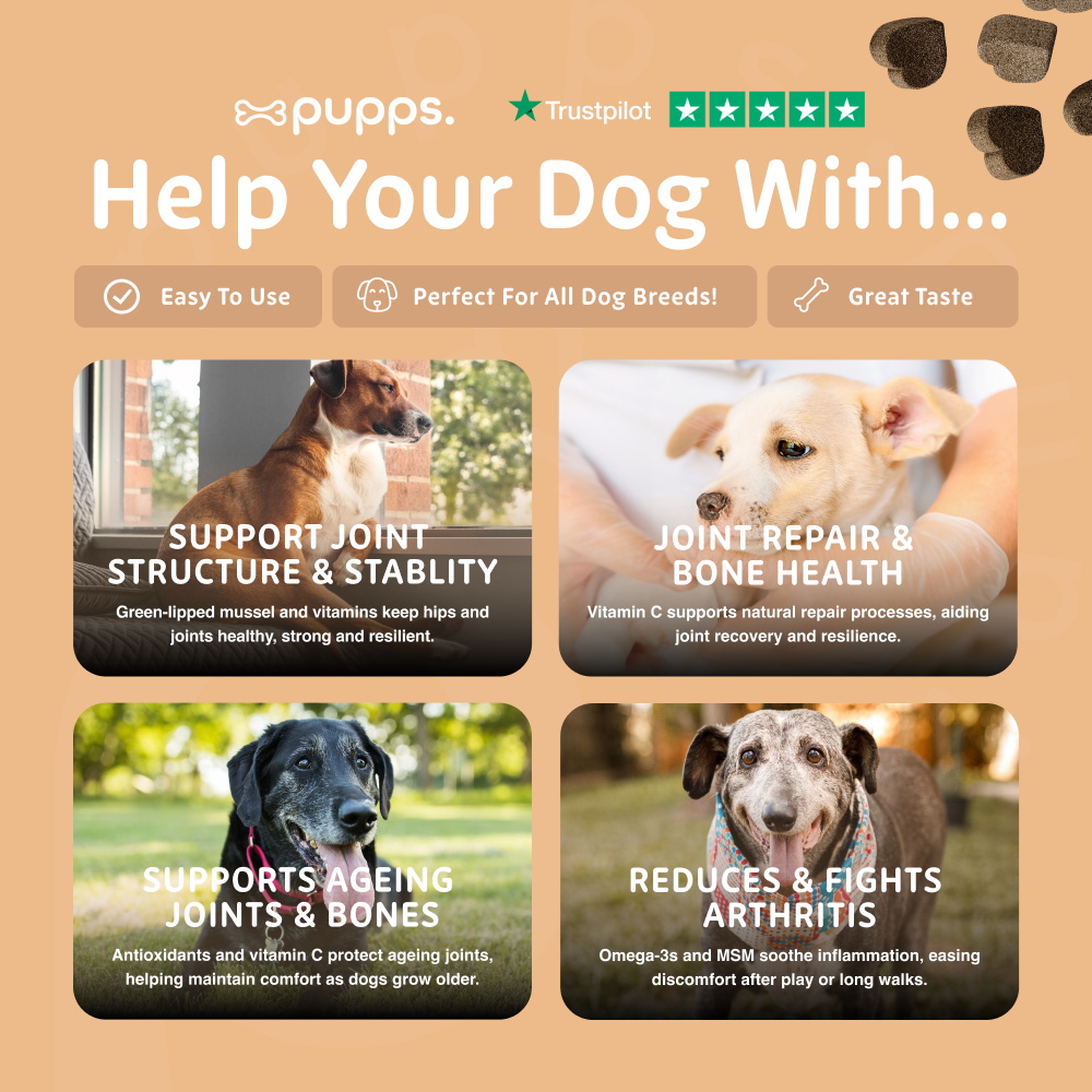 Pupps Hip & Joint Treats for Dogs