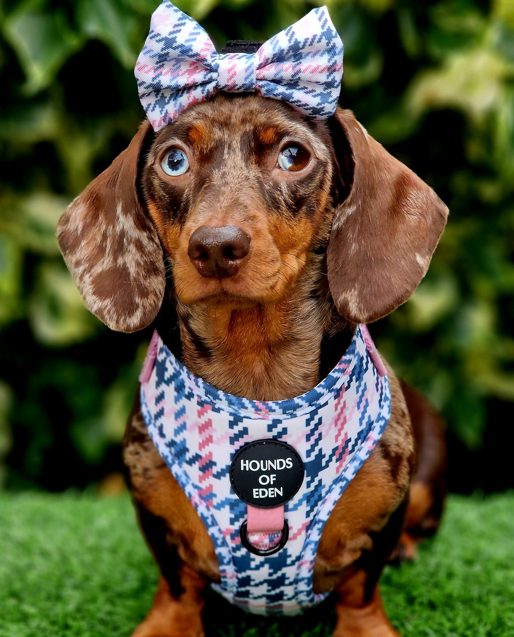 Pink Houndstooth Vegan Leather Dog Collar