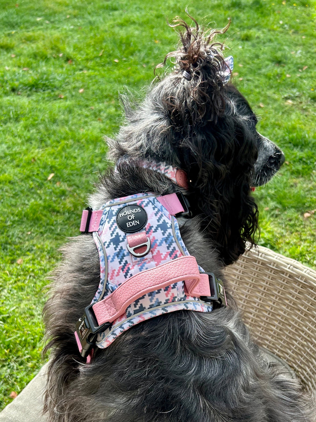 Pink Houndstooth Vegan Leather Dog Collar