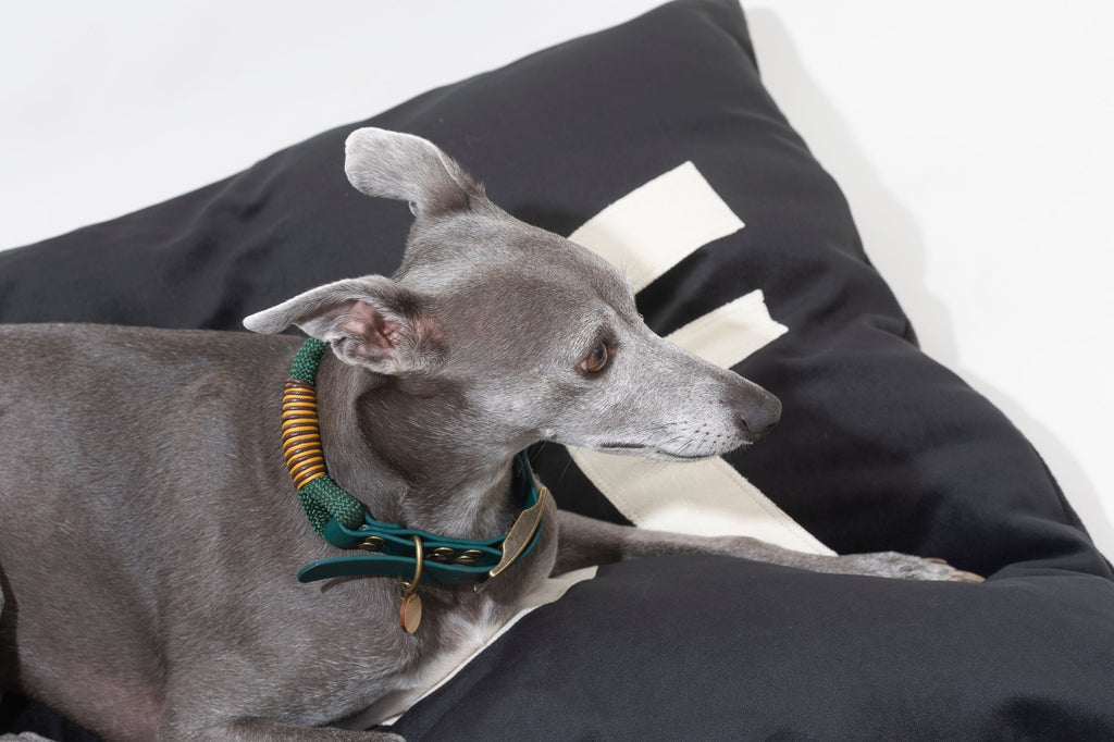 Big WOOF Black Velvet Dog Bed 🐾