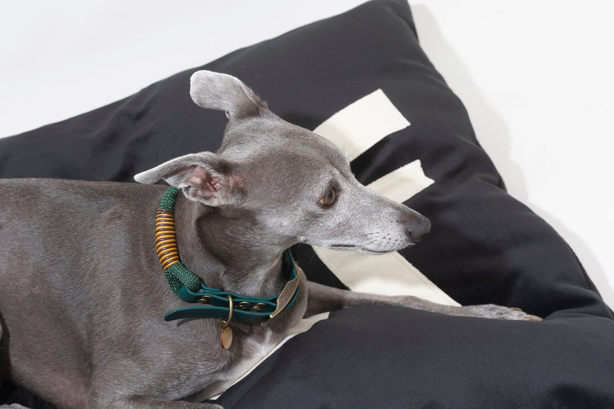 Big WOOF Black Velvet Dog Bed 🐾