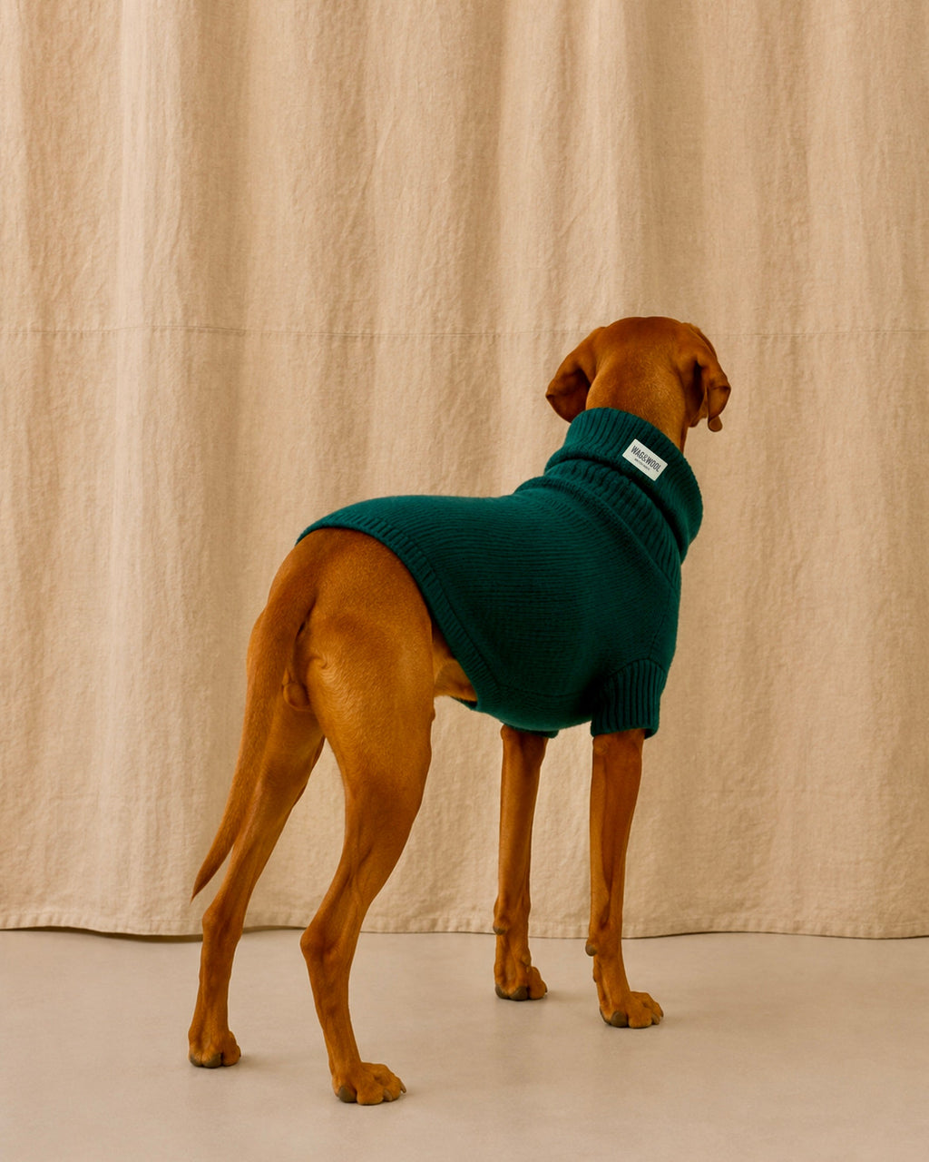 British Wool Dog Jumper 🐾