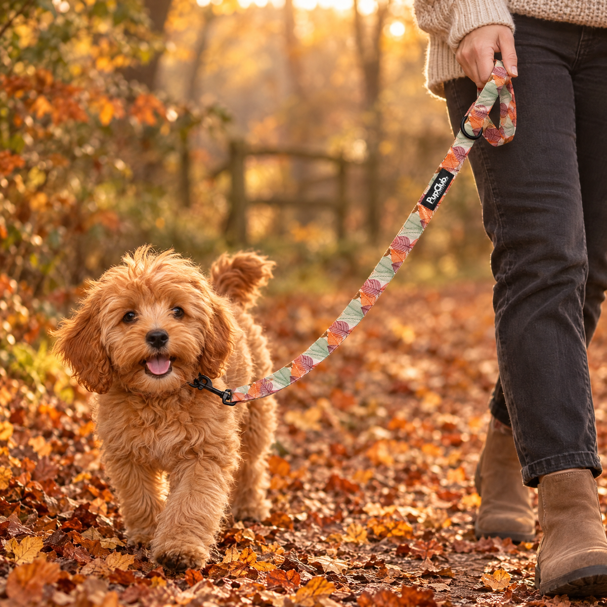 Autumn Breeze Dog Lead – PupClub Couture