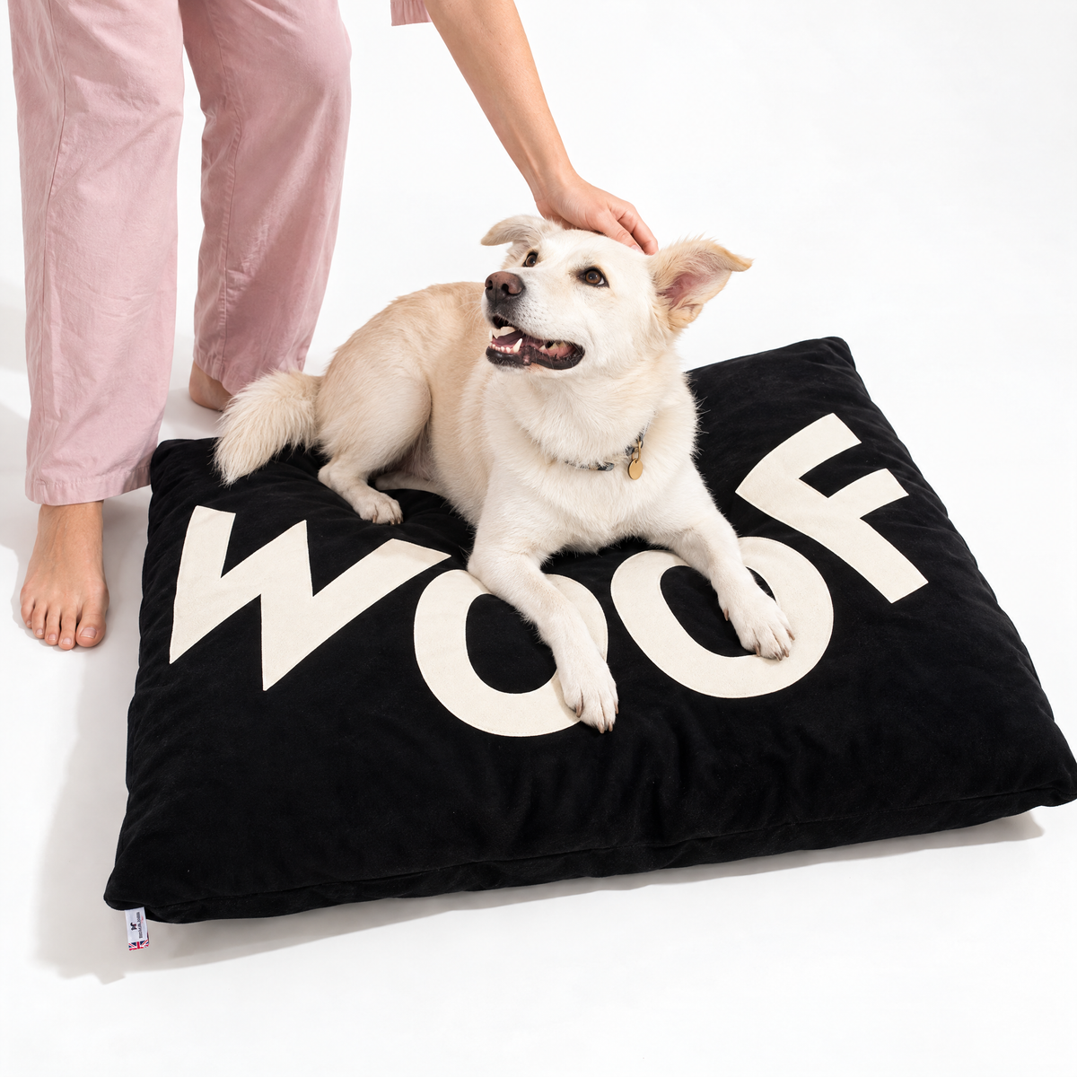 Big WOOF Black Velvet Dog Bed 🐾