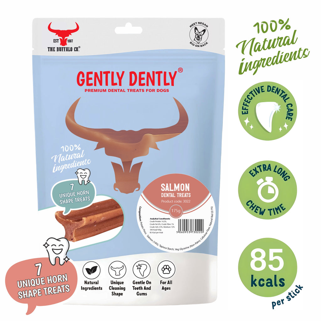Gently Dently Salmon Dental Dog Treats – 175g
