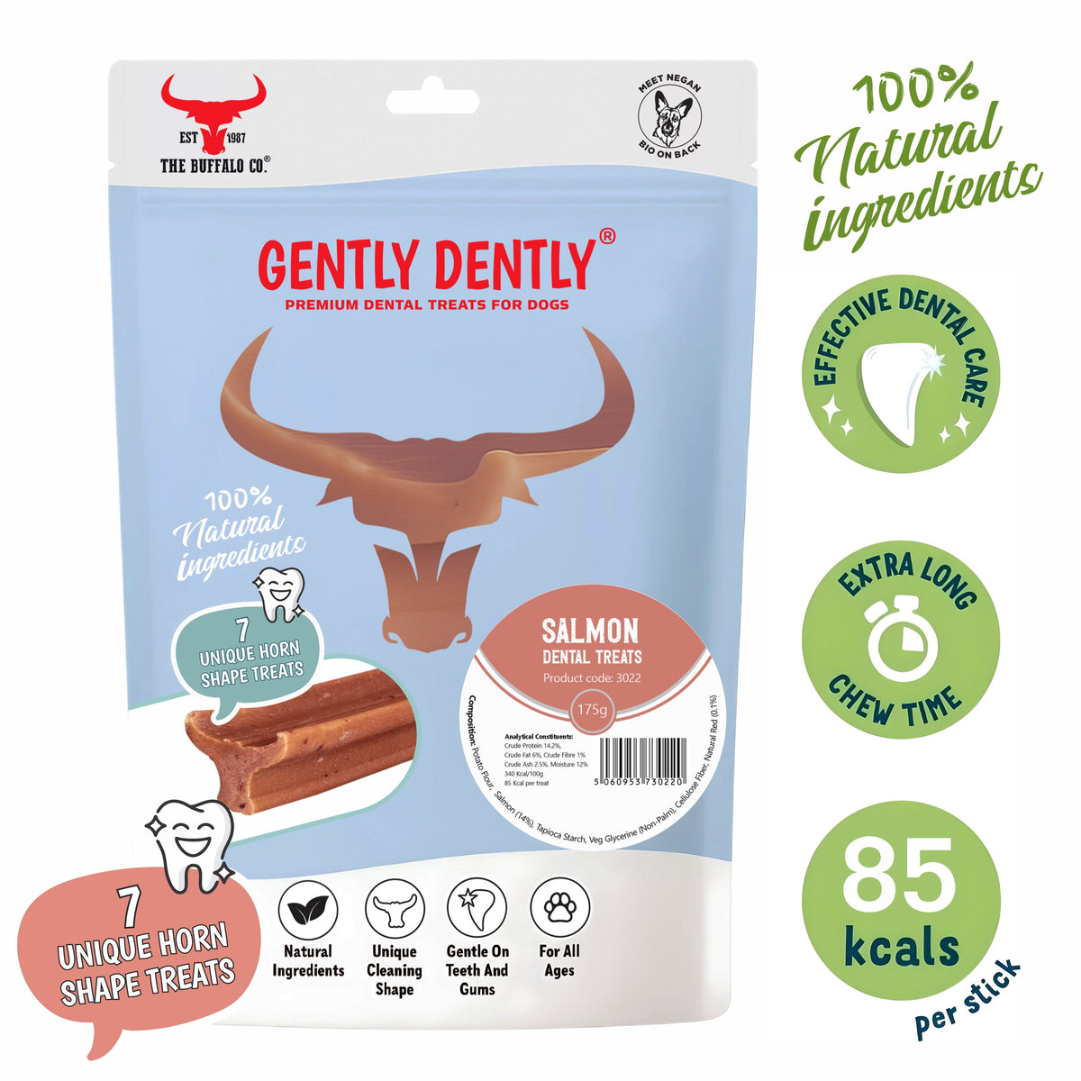 Gently Dently Salmon Dental Dog Treats – 175g
