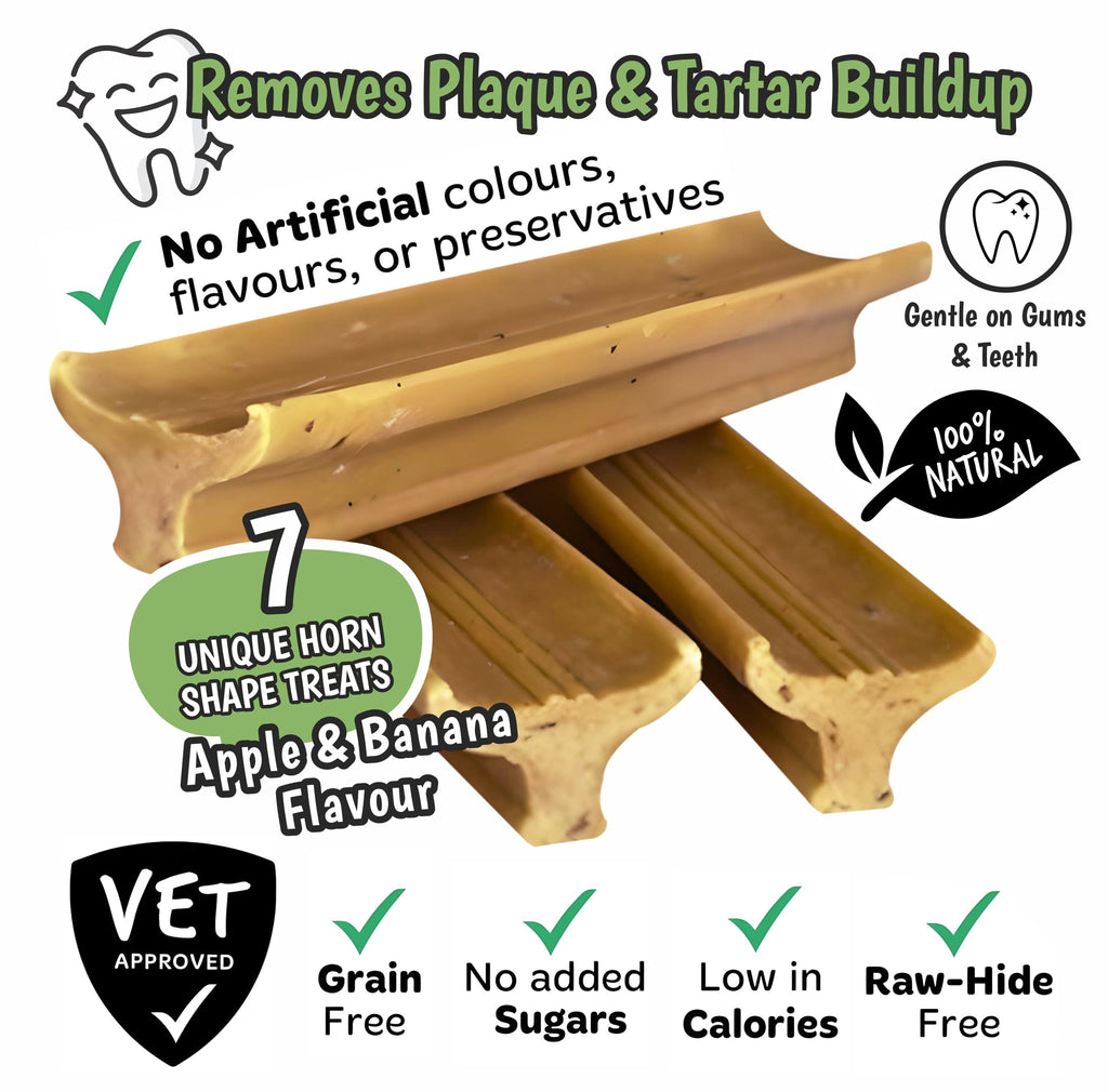 Gently Dently Apple & Banana Dental Treats – 175g