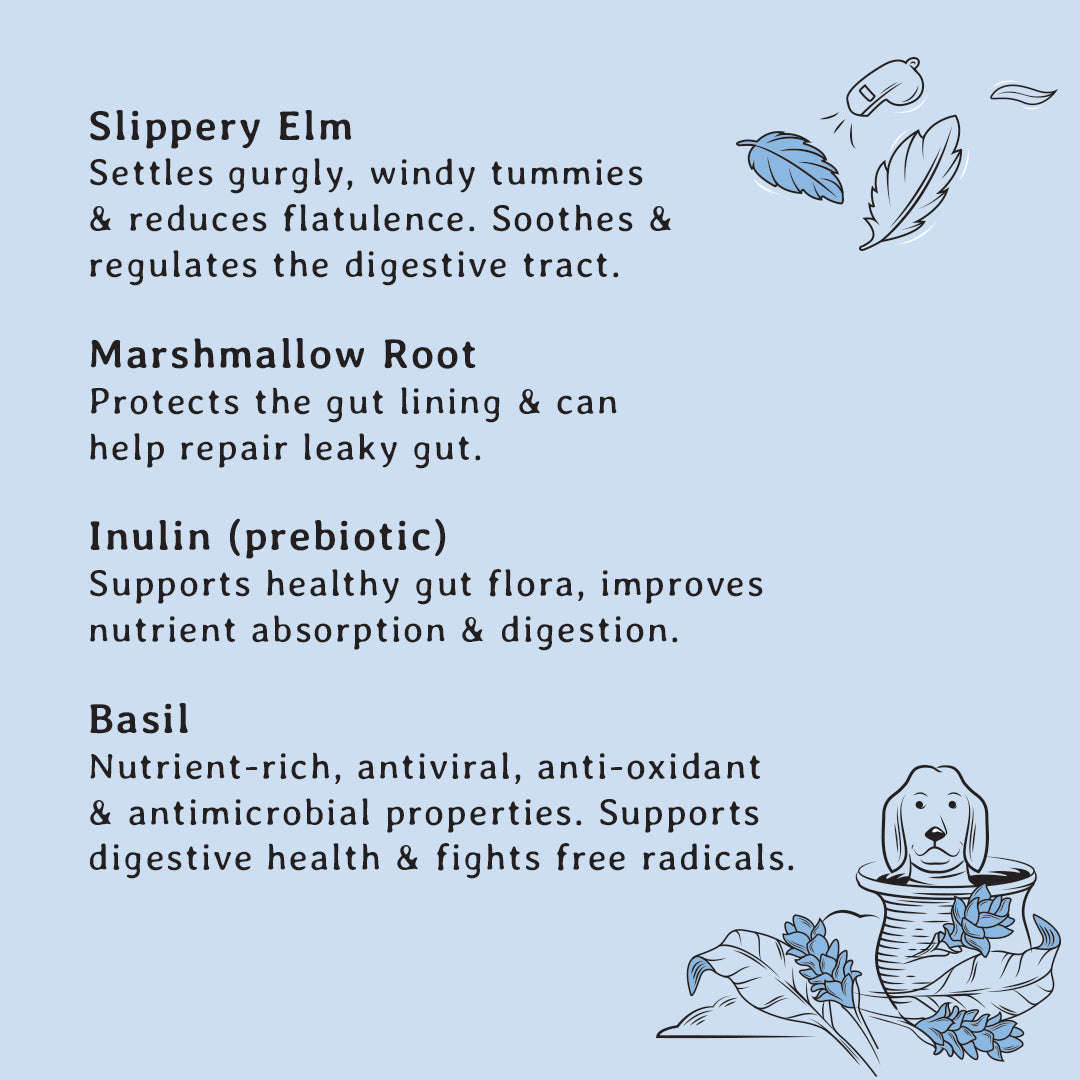 Gut Support Dog Treats