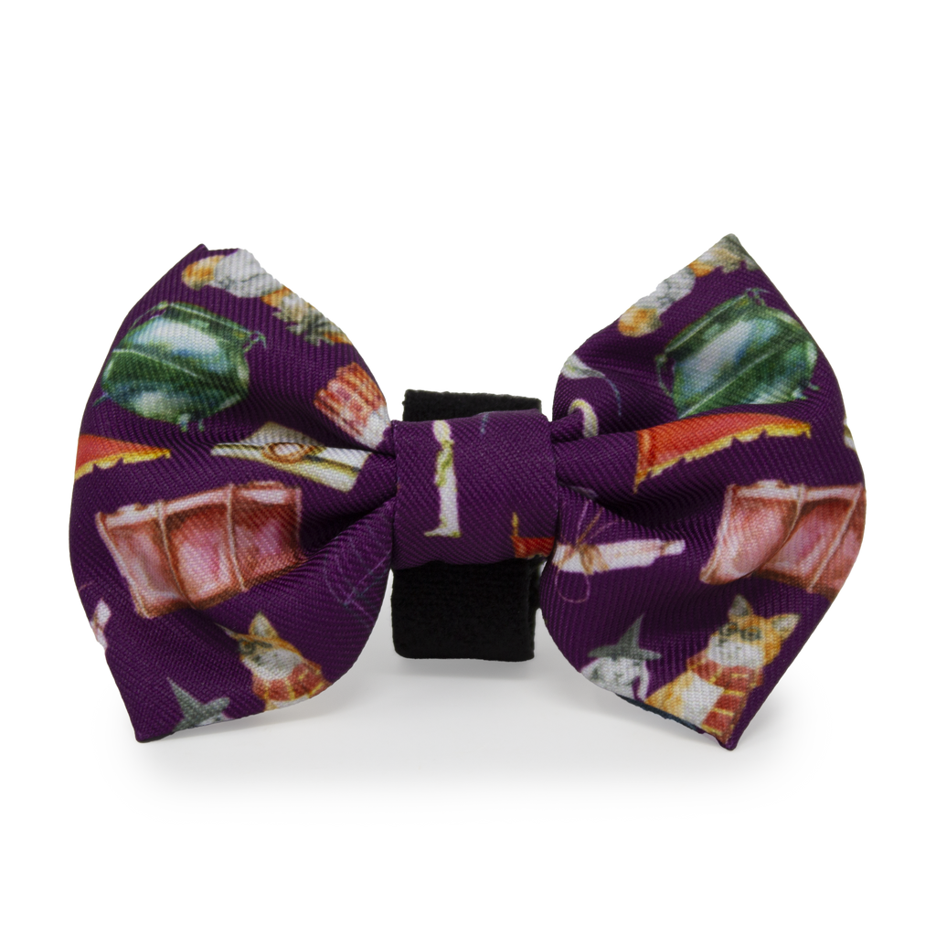 Harry Pawter Dog Collar – Hounds of Eden