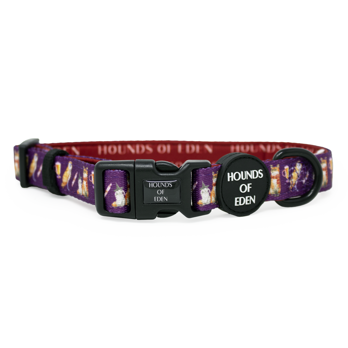 Harry Pawter Dog Collar – Hounds of Eden