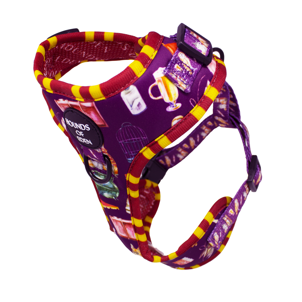 Harry Pawter Dog Collar – Hounds of Eden