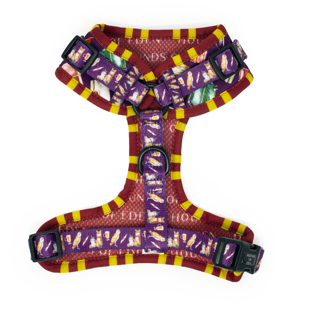 Harry Pawter Design Dog Harness – Hounds of Eden