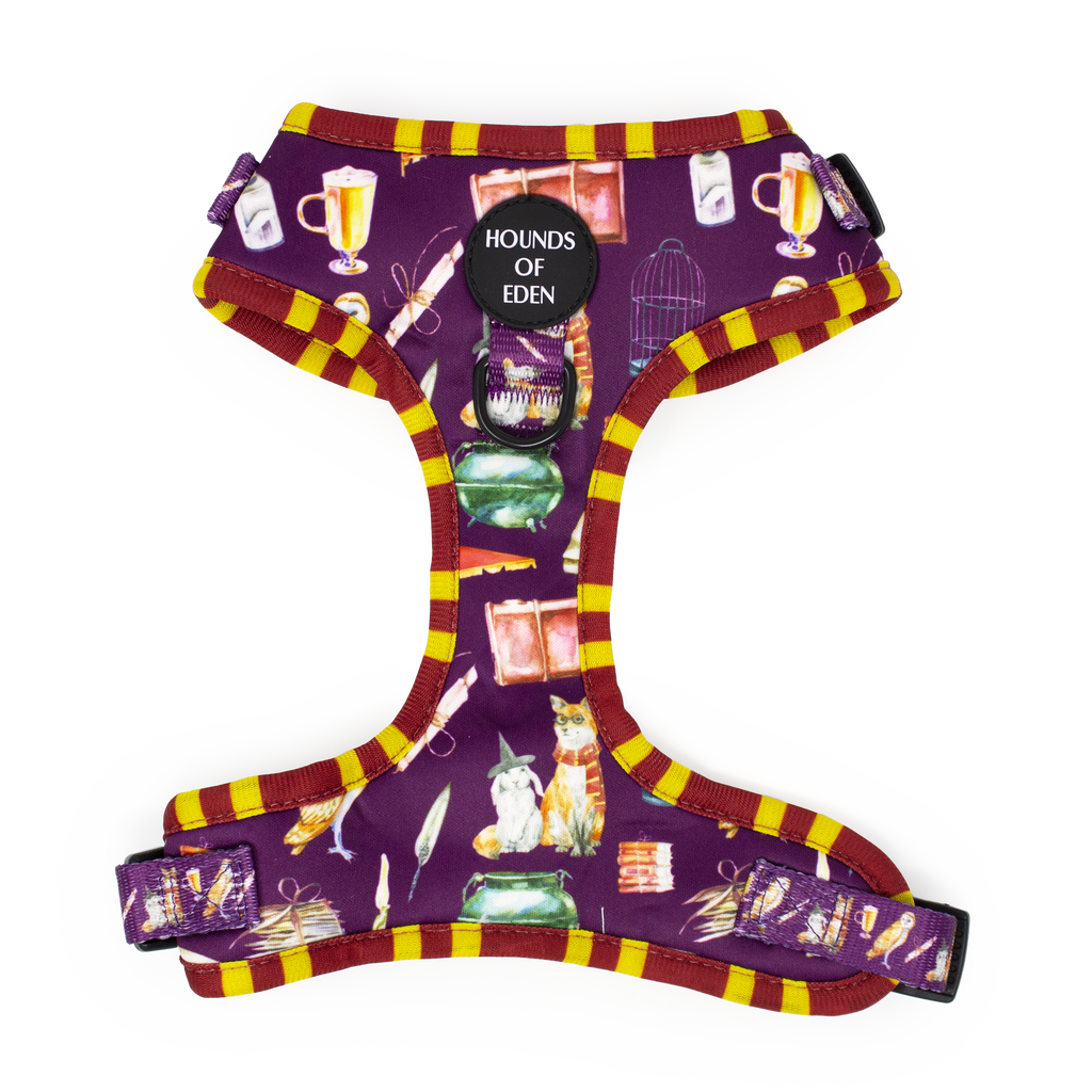 Harry Pawter Design Dog Harness – Hounds of Eden
