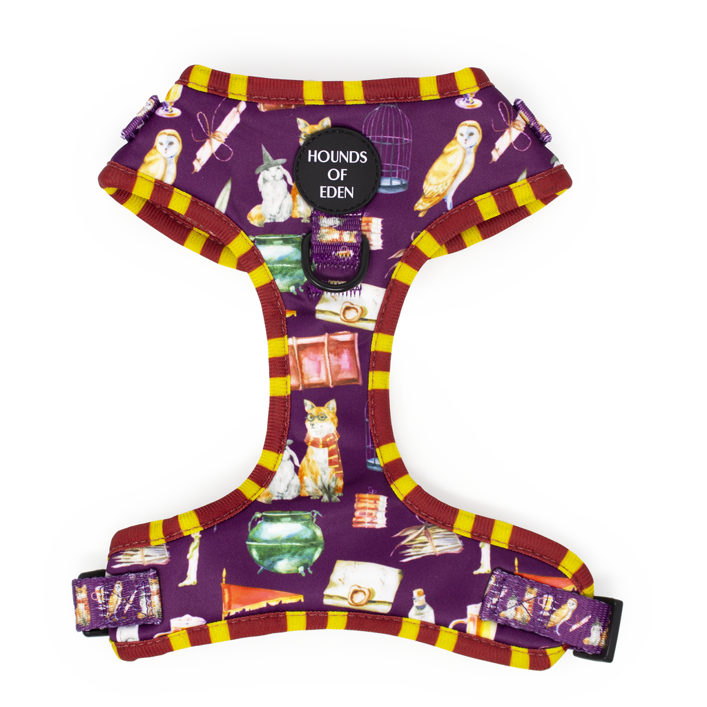 Harry Pawter Design Dog Harness – Hounds of Eden