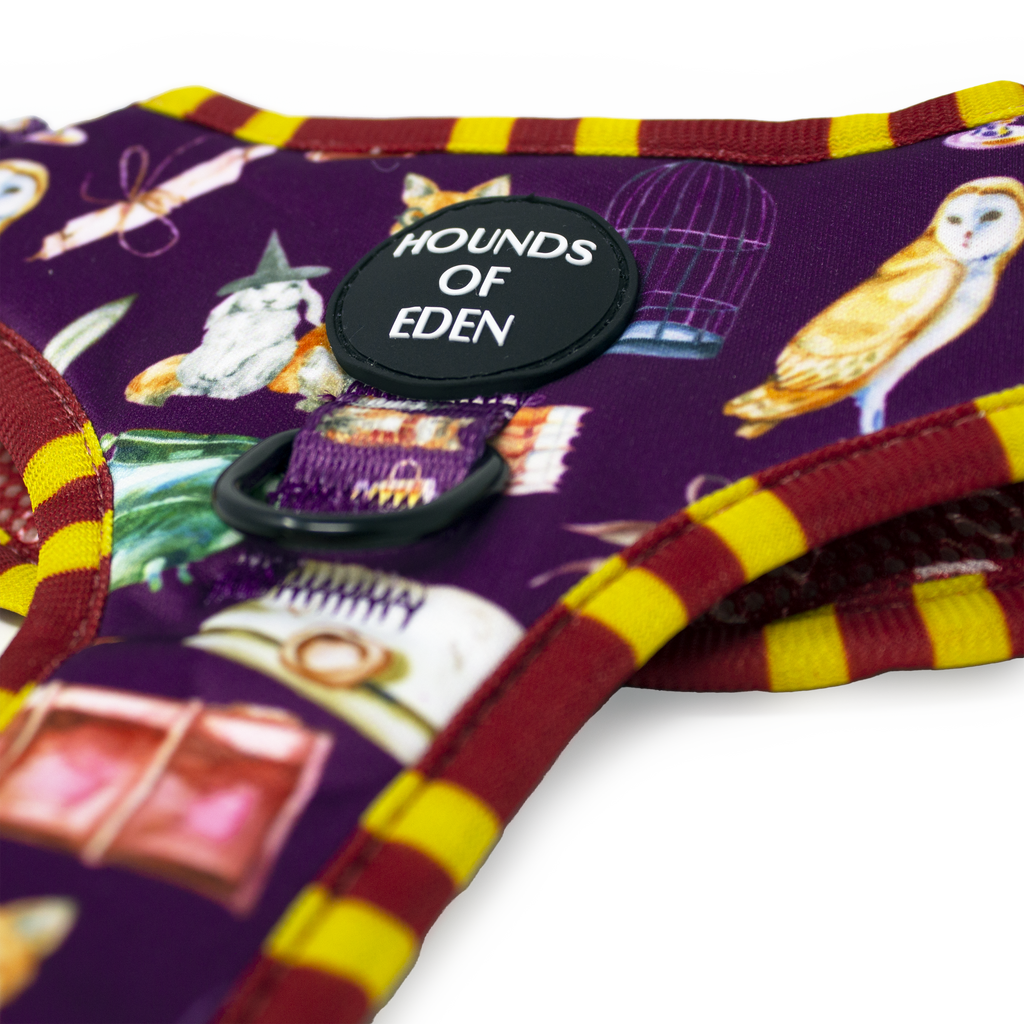 Harry Pawter Dog Collar – Hounds of Eden