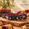 Harry Pawter Dog Collar – Hounds of Eden