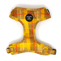 Honey Yellow Check Dog Harness