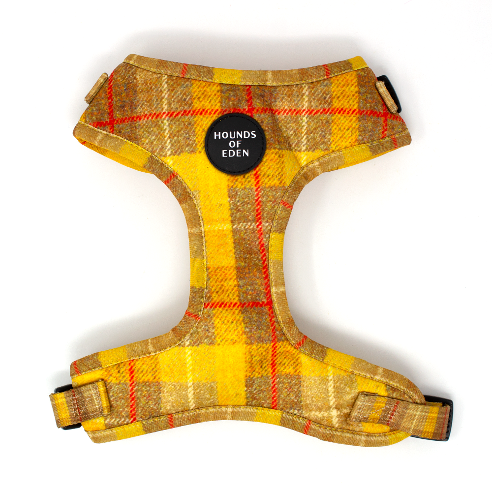 Honey Yellow Check Dog Harness
