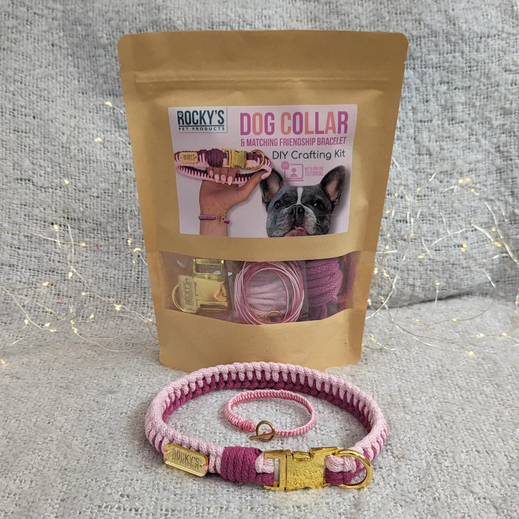 Make Your Own Dog Collar & Friendship Bracelet Kit - PINK🐾