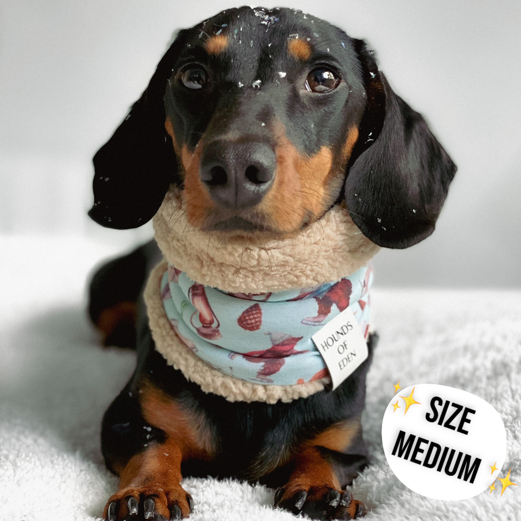 Autumn Blossom Reversible Dog Snood