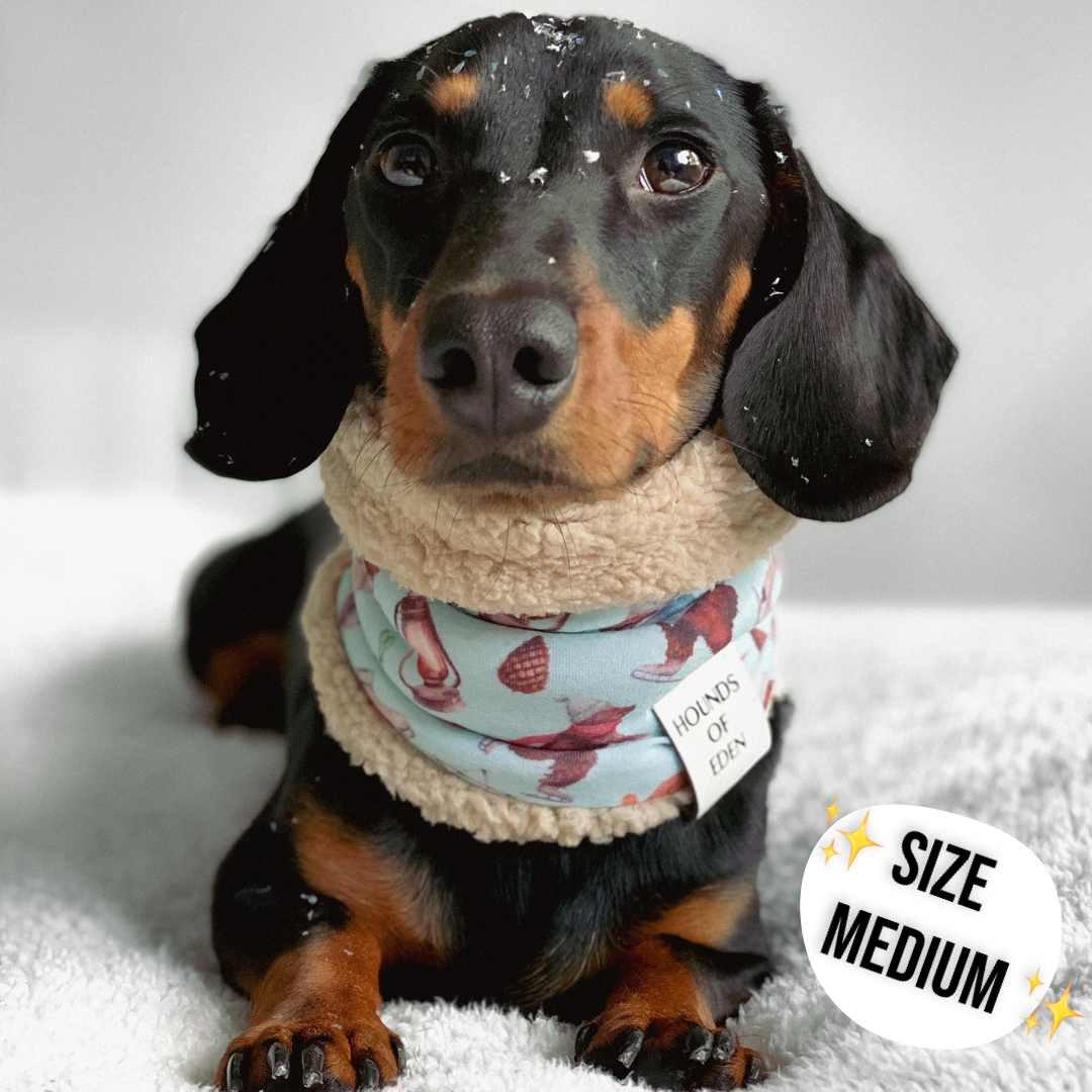 Autumn Blossom Reversible Dog Snood