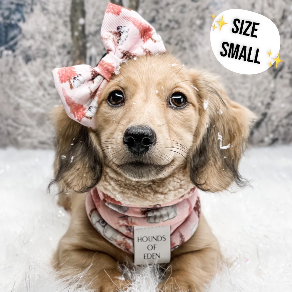 Autumn Blossom Reversible Dog Snood