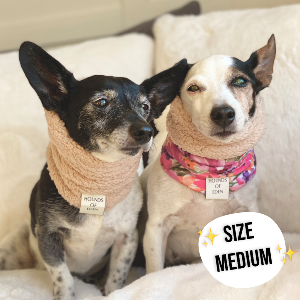Autumn Blossom Reversible Dog Snood
