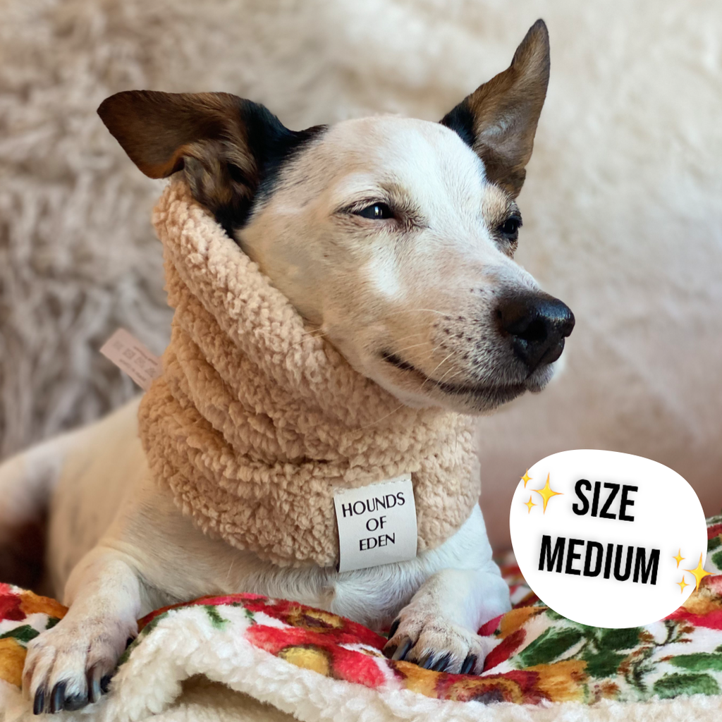 Arctic Wonderland Reversible Dog Snood