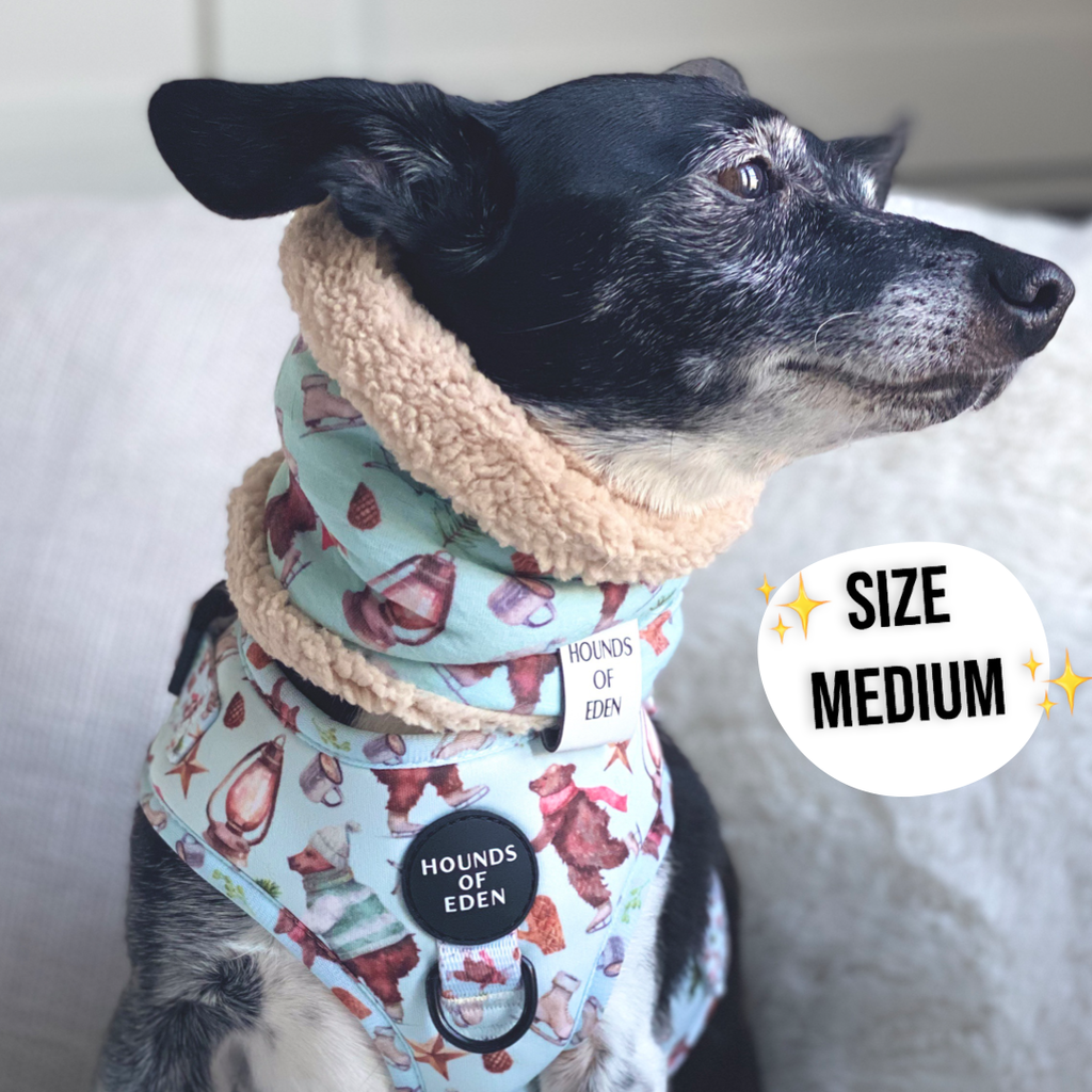 Autumn Blossom Reversible Dog Snood