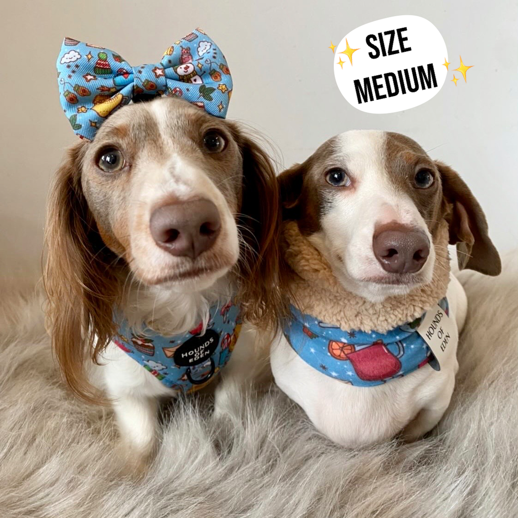 Arctic Wonderland Reversible Dog Snood